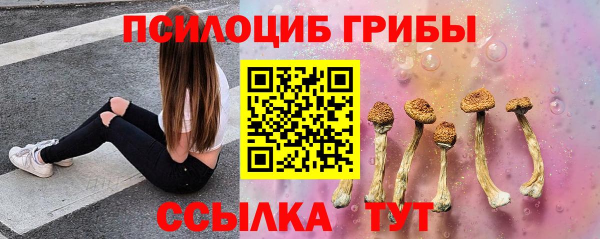 Псилоцибиновые грибы Psilocybine cubensis  Вход с VPN  Сибай 