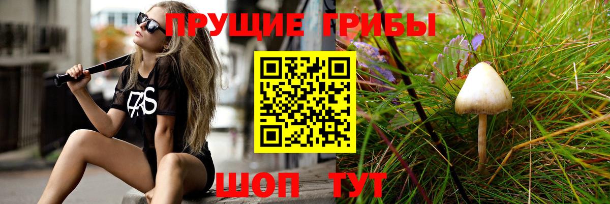 Псилоцибиновые грибы прущие грибы Сибай