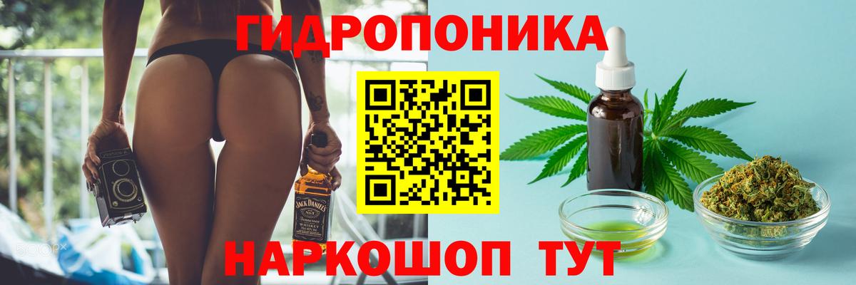 Бошки Шишки сатива Сибай